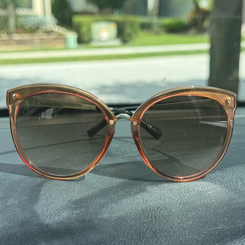 Christian Dior Frozen 1 Rose Sunglasses